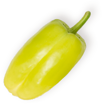 SKY WORLD CARGO