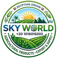 SKY WORLD CARGO