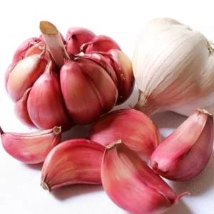 Red Garlic